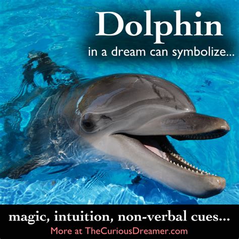 Unveiling the Personal Empowerment and Resilience Embodied by Petite Dolphins in Dream Visions