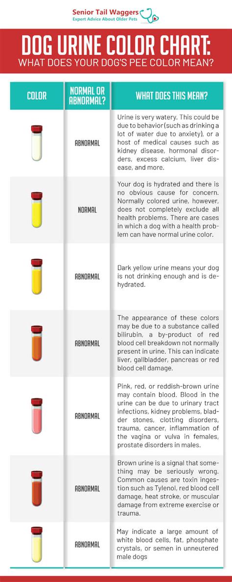 Unveiling the Possible Connotations of Canine Urine on the Surface