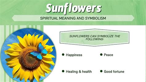 Unveiling the Spiritual Significance of Sunflower Seeds in Dreaming