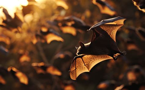 Unveiling the Supernatural Significance of Bats in Dreams