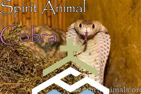 Unveiling the Symbolic Meaning of Cobras in Dream: A Journey of Transformation and Rebirth