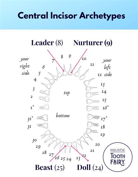 Unveiling the Symbolic Meaning of a Dropped Central Incisor