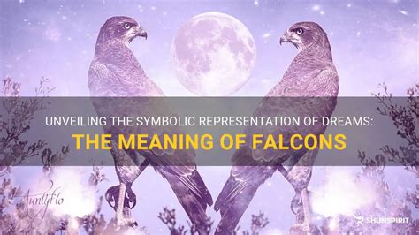 Unveiling the Symbolic Representations