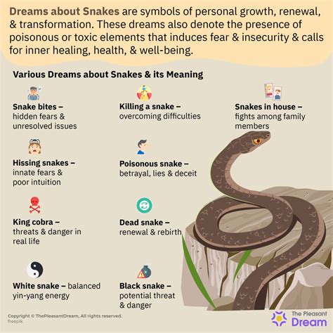 Unveiling the Symbolic Significance Hidden within Serpent Dreams