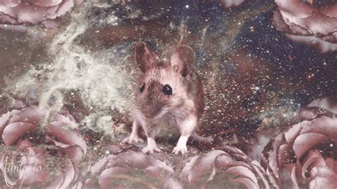 Unveiling the Symbolic Significance of Mice and Rats in Dream Interpretation