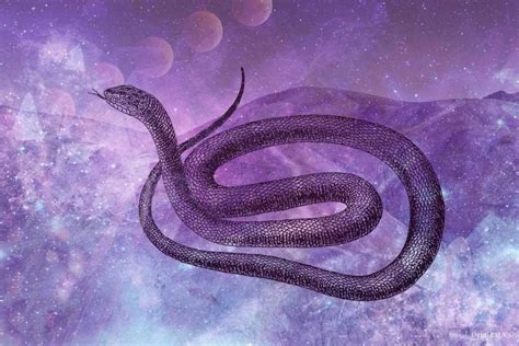 Unveiling the Symbolism: Decoding the Significance of Numerous Serpent Encounters in Dreams