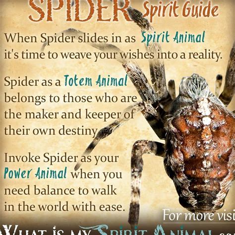 Unveiling the Symbolism of Arachnids