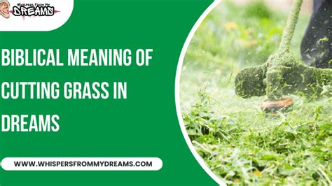 Unveiling the Symbolism of a Roll of Turf in Dreams