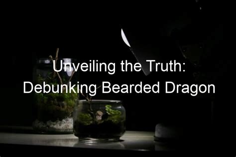 Unveiling the Truth: Debunking Myths and Providing Scientific Explanations