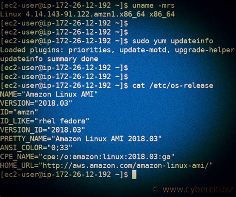 Updating the System: Keeping Your Amazon Linux AMI Current