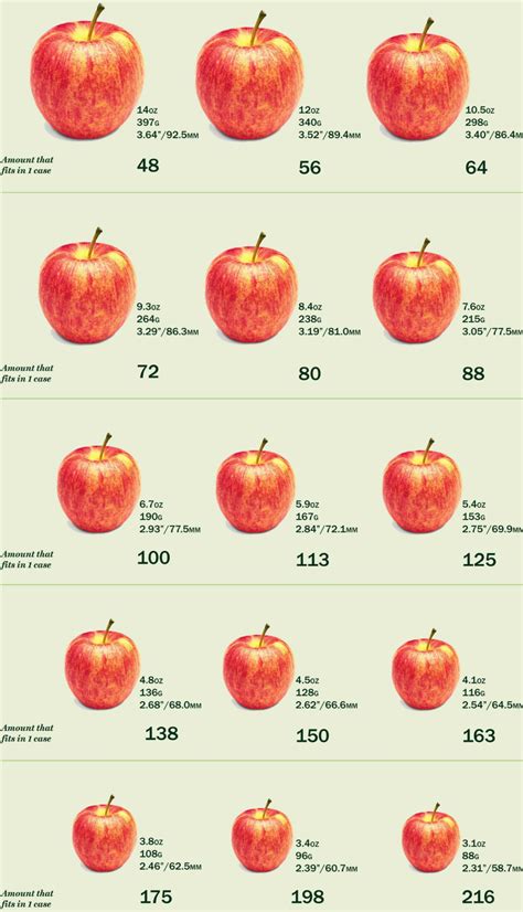 Using Apple's Sizing Guide for Accuracy