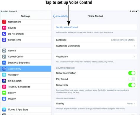 Using Voice Control to Deactivate Your iPad