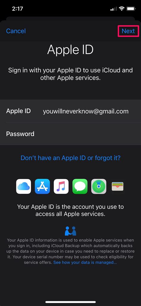 Using Your iCloud Account to Retrieve Your Apple ID on iPad