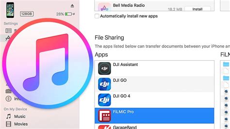 Using iTunes for File Transfer