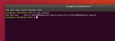 Using the "lsb_release" Command