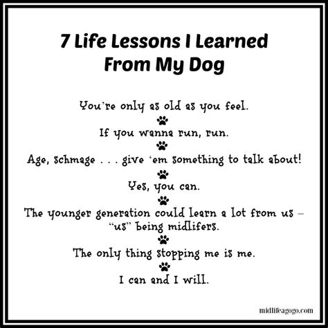 Valuable Lessons Learned from My Adorable Canine Companion