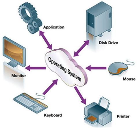 Various Categories of Cache Storage in Microsoft Operating Systems and Their Roles