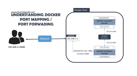 Verify container IP address and port mapping