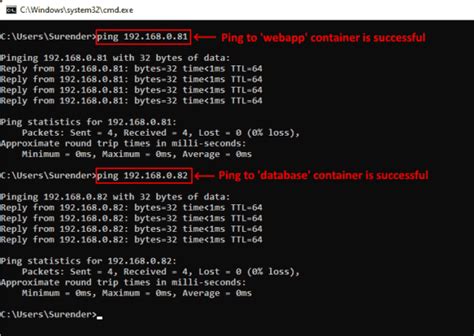 Verifying Container Network Configuration