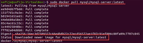 Verifying MySQL Container Settings