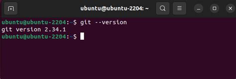 Verifying Proper Installation of Git