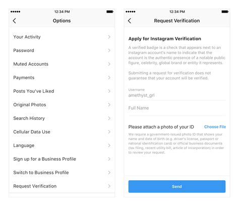 Verifying the Model through Third-Party Apps