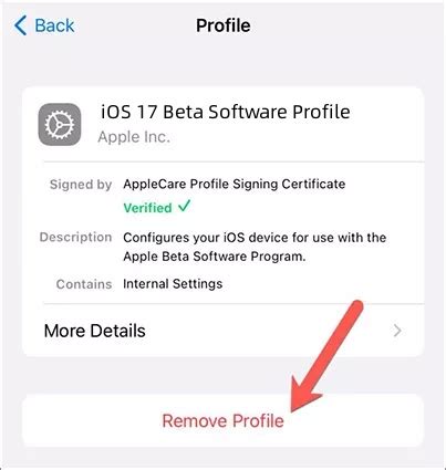 Verifying the Successful Removal of iOS 17 Beta