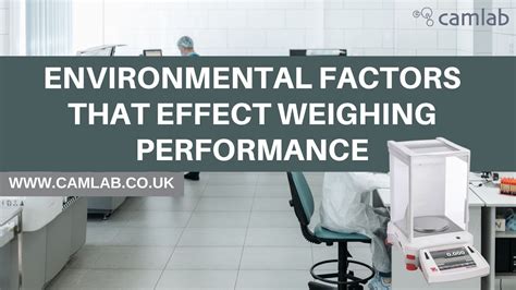 Weighing Performance Factors