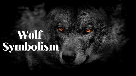 What We Can Discover from the Symbolic Significance of Wolves and Majestic Canine Breeds