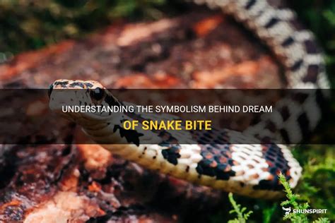 What to Do When a Snake Attempts to Bite: Tips for Understanding and Responding to Snake Dream Symbolism