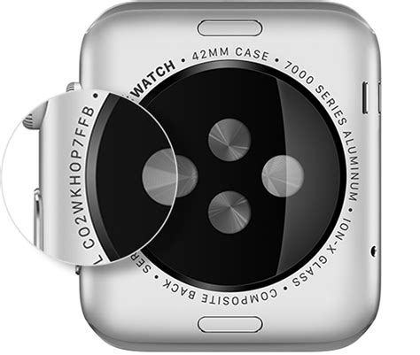 Where Can You Find the Serial Number on Apple Watch 3