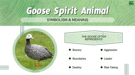 Why a Goose? The Significance of Animal Symbolism