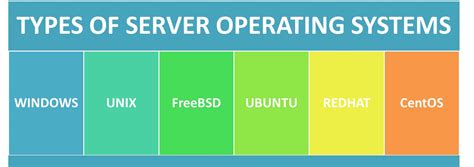 Windows Server: The Operating System for Enterprises