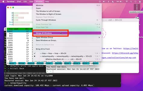 Working with Multiple Terminals: Managing Terminal Windows and Tabs