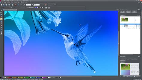 Xara Photo & Graphic Designer: Enhancing Visual Creativity on the Windows Platform